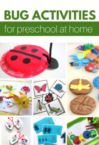 bug themed activities for preschoolers