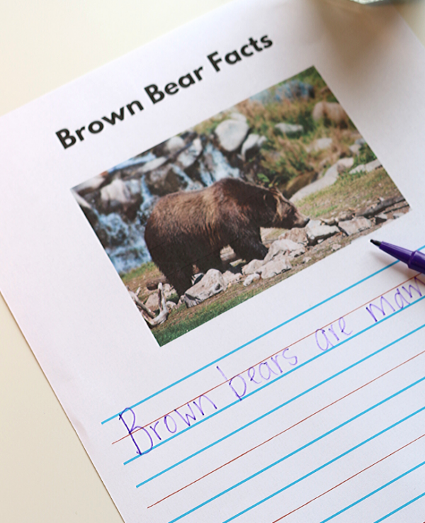 brown bear brown bear what do you see activities