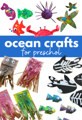 a collection of preschool crafts with an ocean theme with the text ocean crafts for preschool