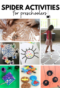 spider activities for preschoolers