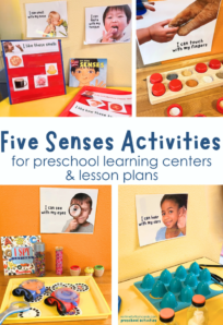 five senses activities preschool