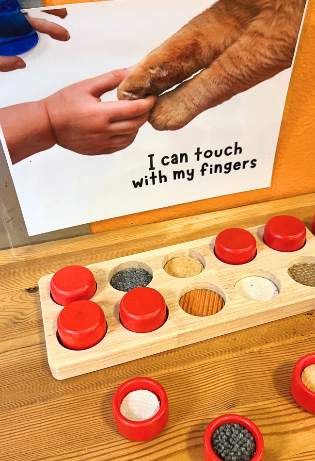 teaching children about the five senses 