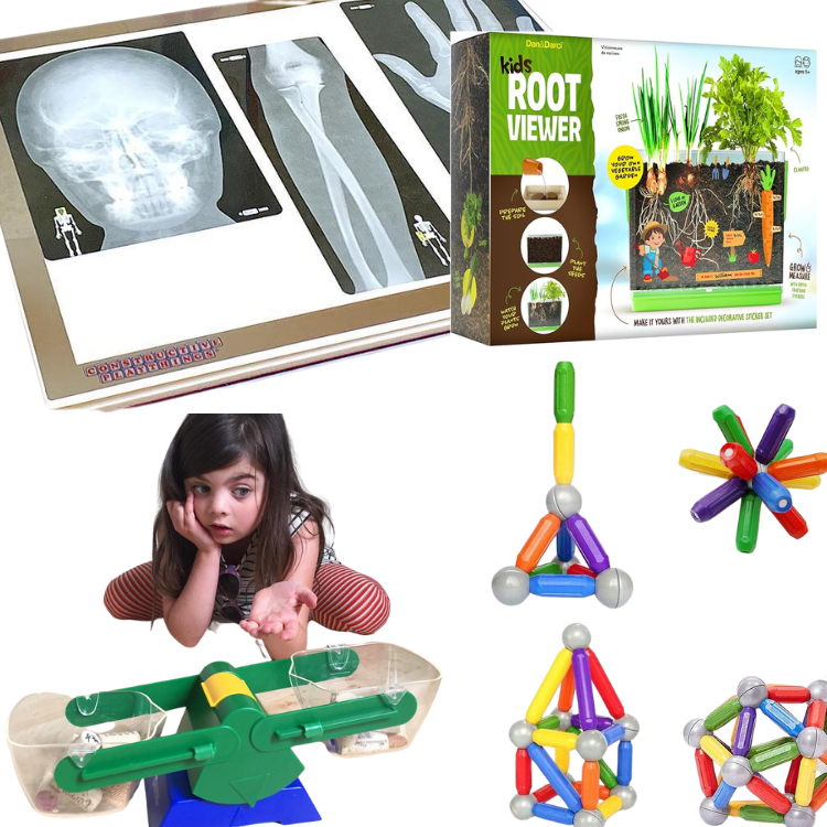 science materials and preschool and prek Classroom Must-Haves you can find on Amazon 2024